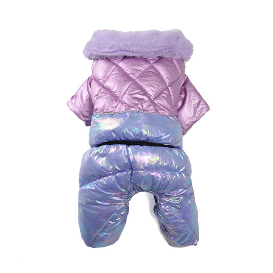 Small dog wearing shiny winter pet coat
