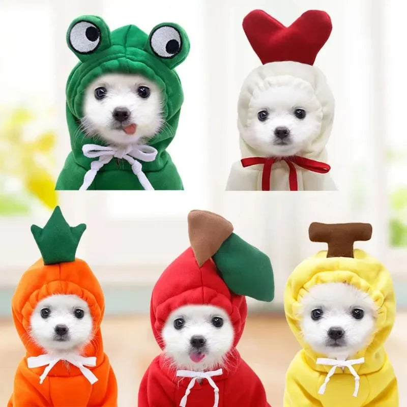 Small dog in carrot cosplay pet costume – side view
