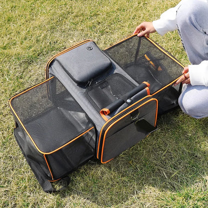 Foldable Cat Carrier – Expandable Travel Tote Bag