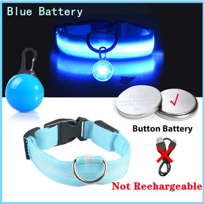 USB Rechargeable LED Dog Collar – Night Safety