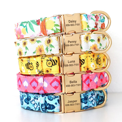 Personalized dog collars with engraved pet names – Daisy, Penny, Luna, Bella, Jasper.