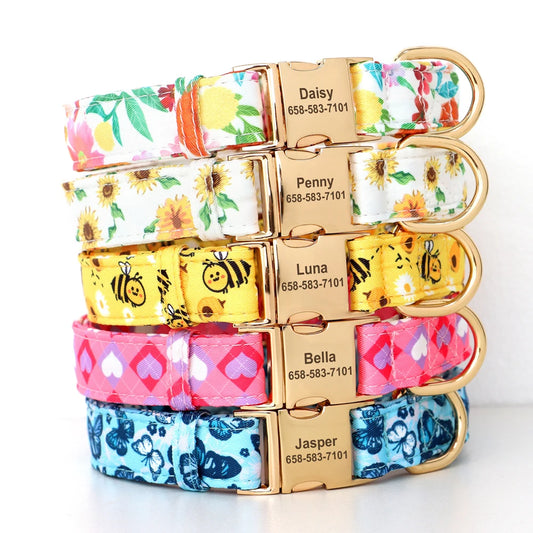 Personalized dog collars with engraved pet names – Daisy, Penny, Luna, Bella, Jasper.