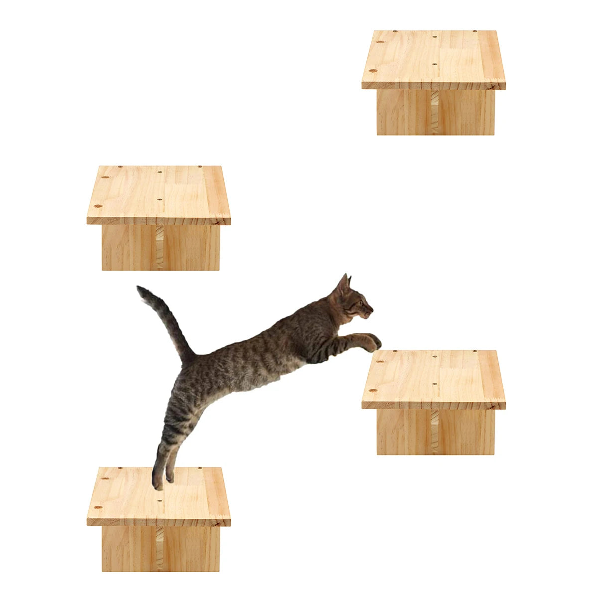 Cat climbing and resting on wall-mounted wooden shelves