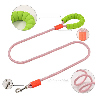 Durable nylon dog harness and leash in blue and pink