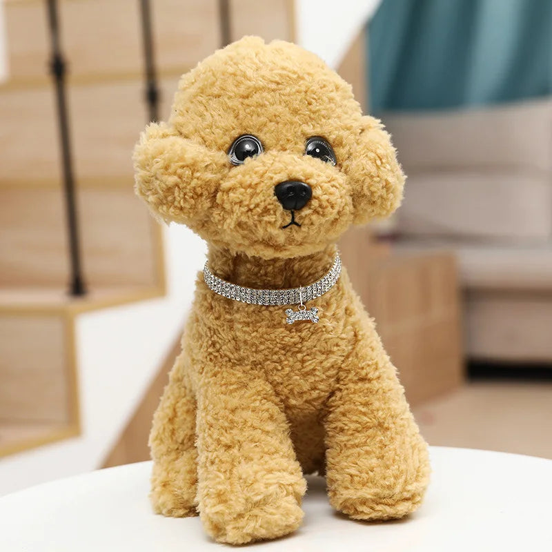 Small dog wearing luxury jeweled dog collar