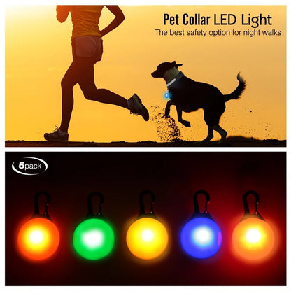 USB Rechargeable LED Dog Collar – Night Safety