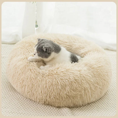 Small cozy donut bed for puppies

