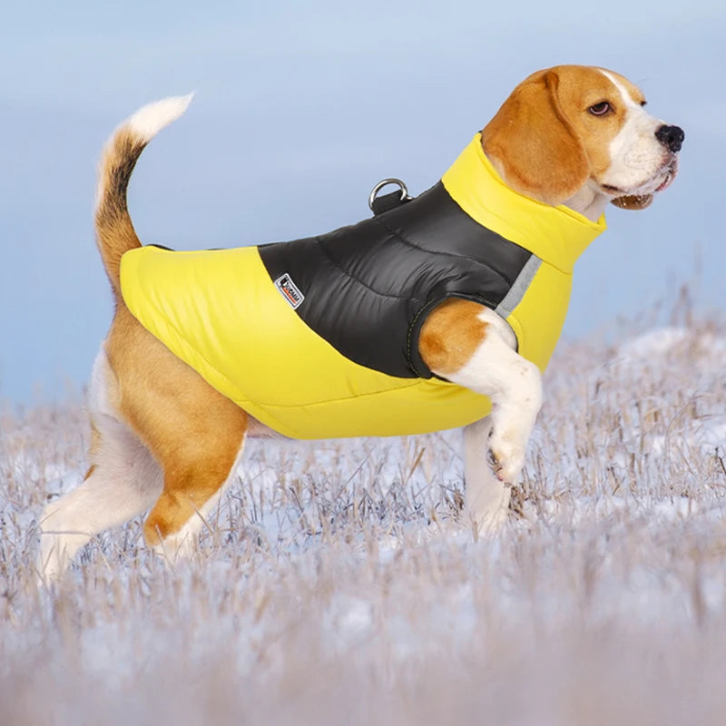 Yellow waterproof jacket for medium dogs
