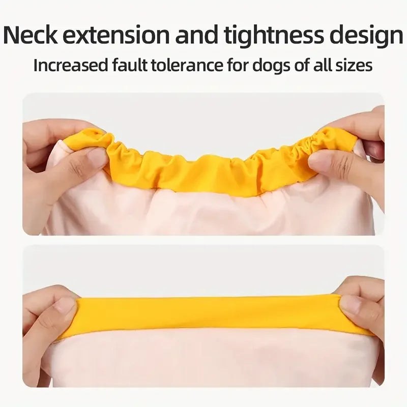 Dog wearing waterproof hooded rain jacket