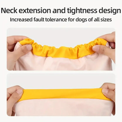 Dog wearing waterproof hooded rain jacket