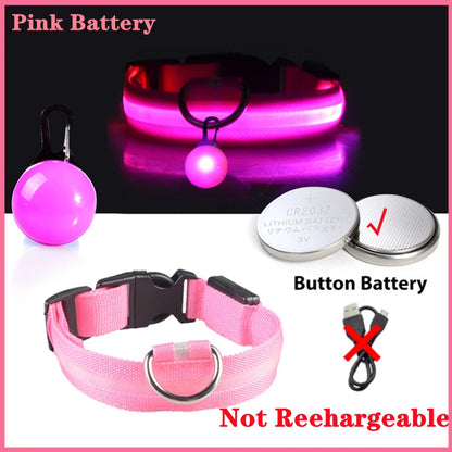 USB Rechargeable LED Dog Collar – Night Safety