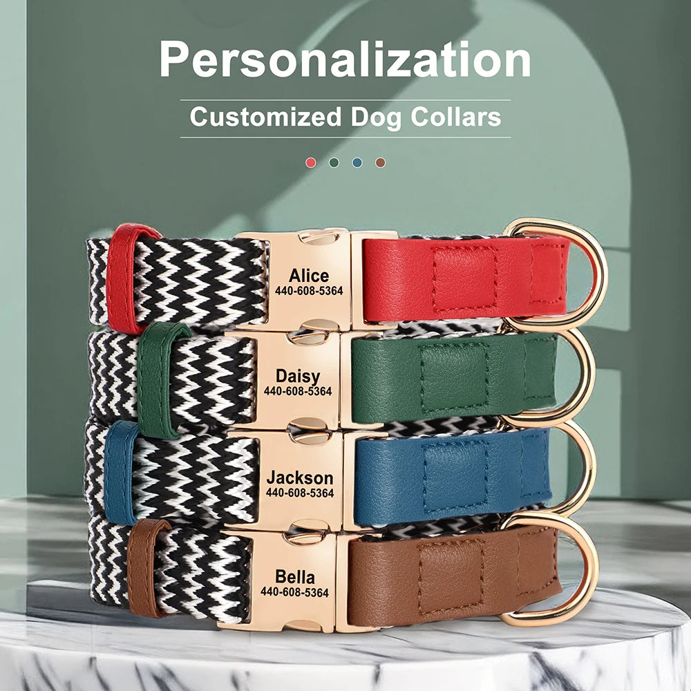 Red personalized nylon collar with engraved nameplate