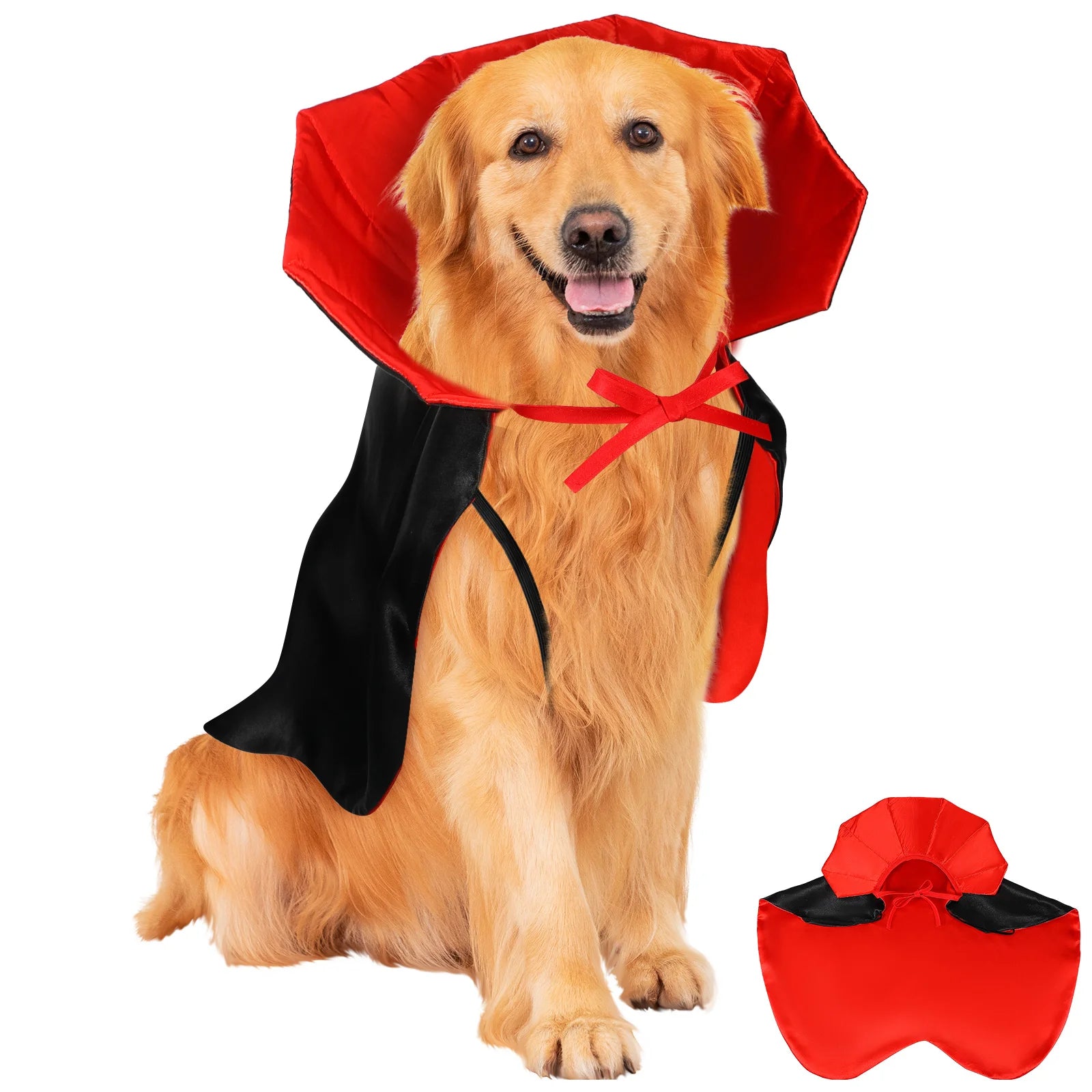 Golden Retriever wearing Halloween cloak and hat costume