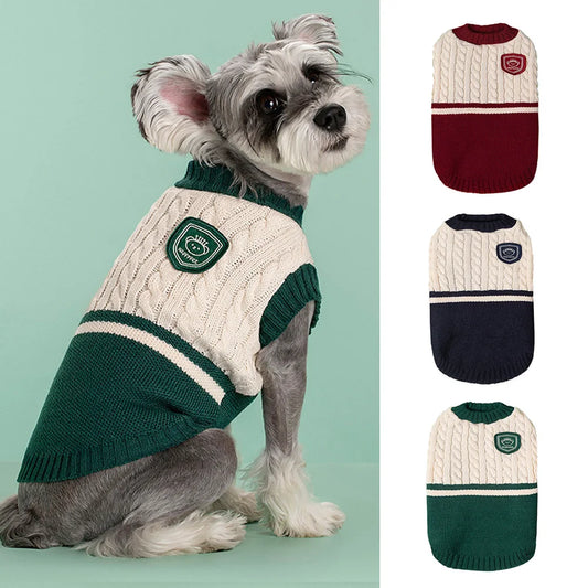 Small dog wearing warm knitted green sweater – college style pullover for winter.