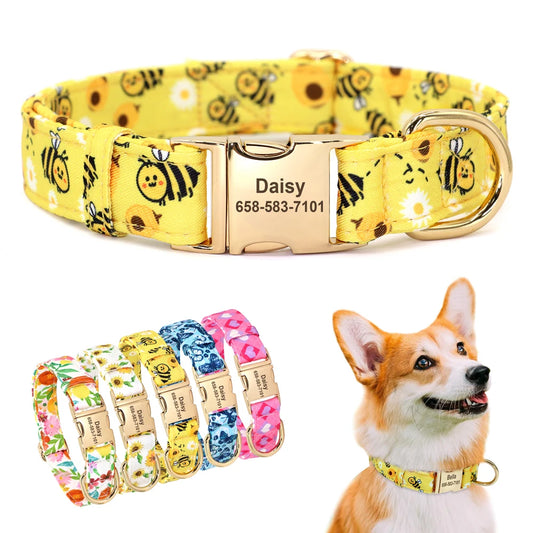 Yellow nylon dog collar with custom name engraving – Daisy with phone number.