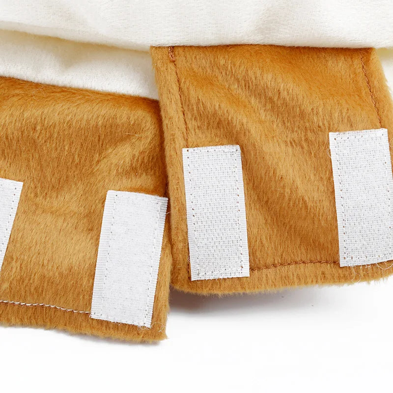 Halloween party dog costume shaped like a sausage