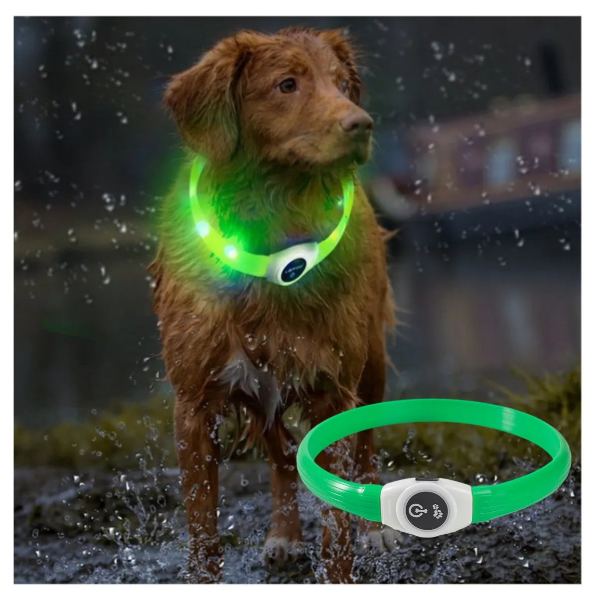 LED dog collar rechargeable waterproof
