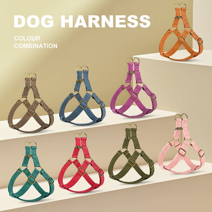 Blue PU leather harness with matching leash – engraved ID buckle