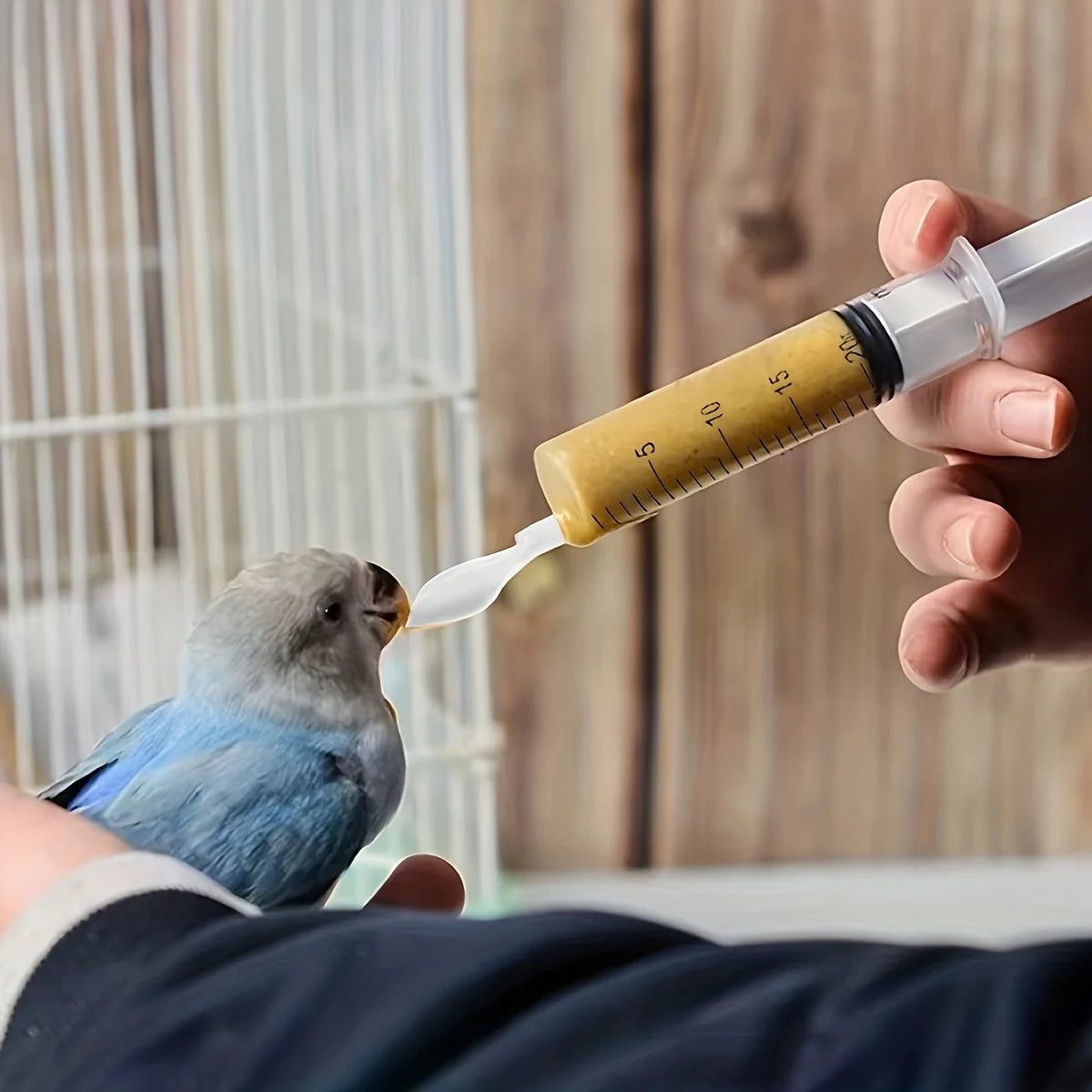 Hand feeding parrot with bird feeding syringe and soft spoon
