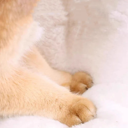 Cozy Cat & Dog House Bed – Removable Washable Pet Nest