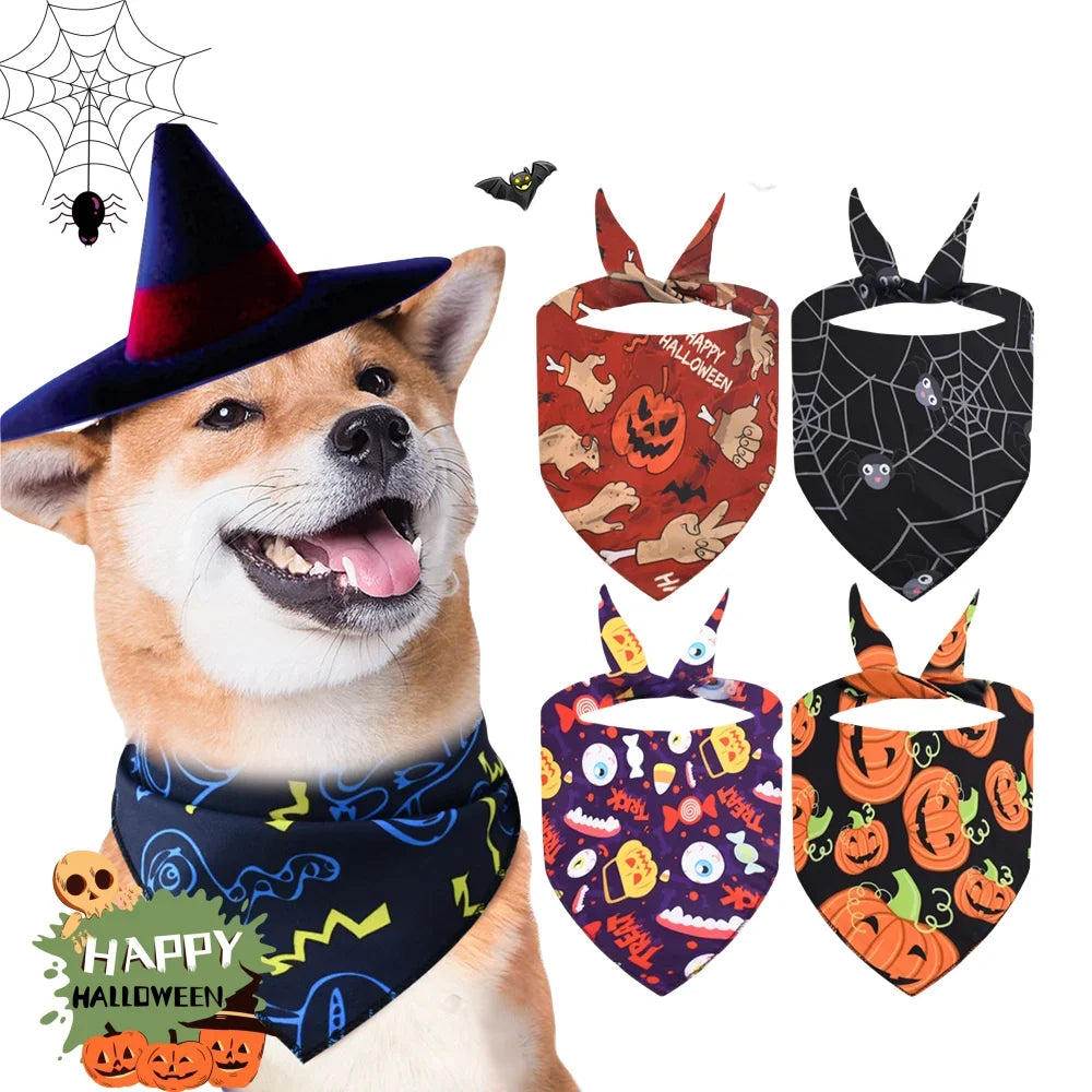 Dog wearing Halloween bandana with pumpkin design