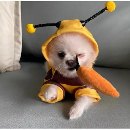 Cat in bee pet costume hoodie – playful design