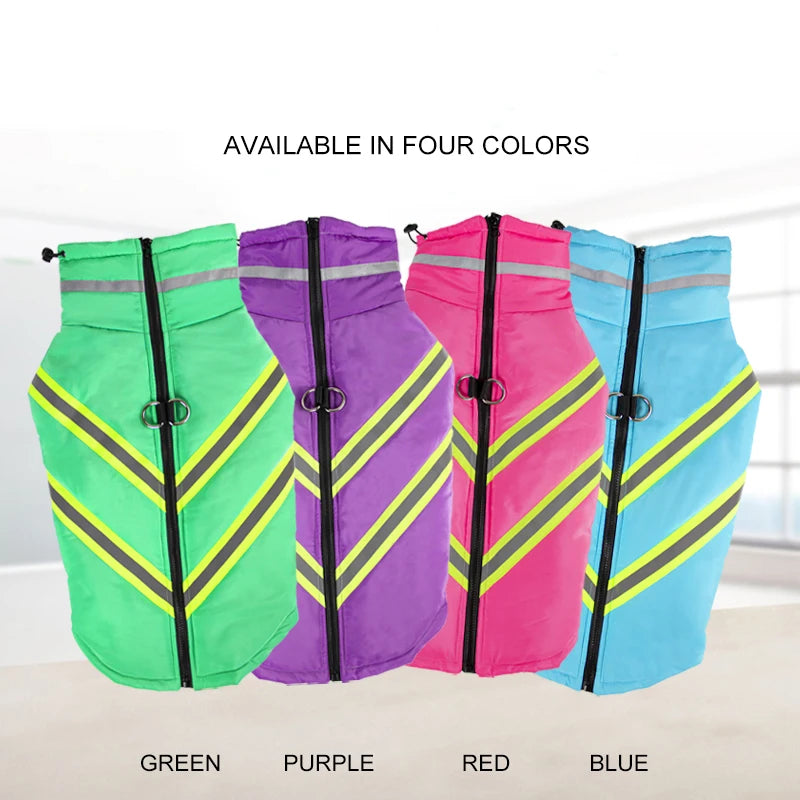 Dog wearing reflective waterproof jacket in winter