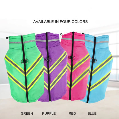 Dog wearing reflective waterproof jacket in winter