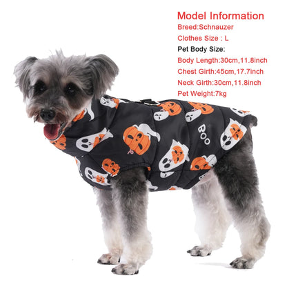 Small dog in black Halloween pet coat
