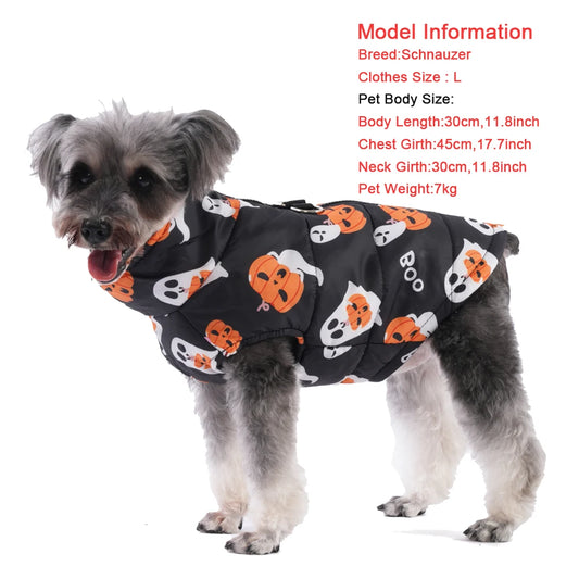Small dog in black Halloween pet coat
