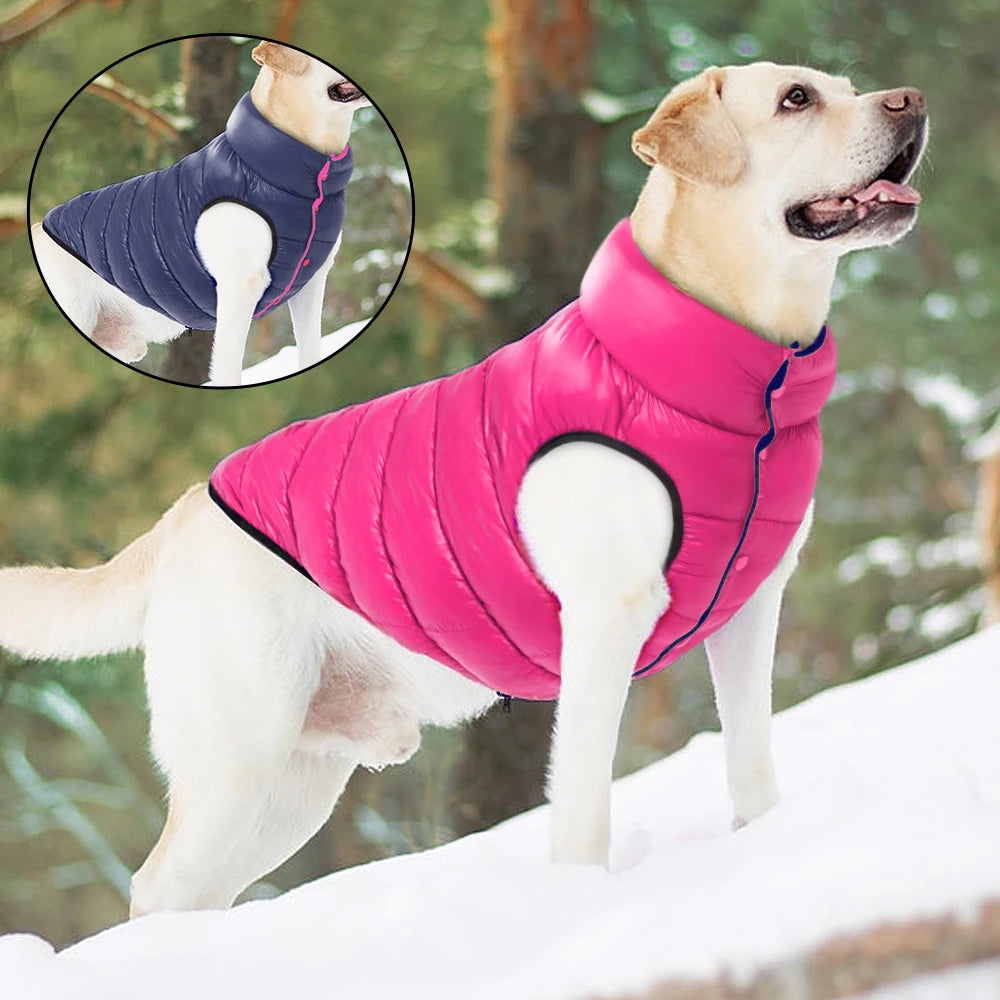 Light blue dog jacket – waterproof and warm winter coat