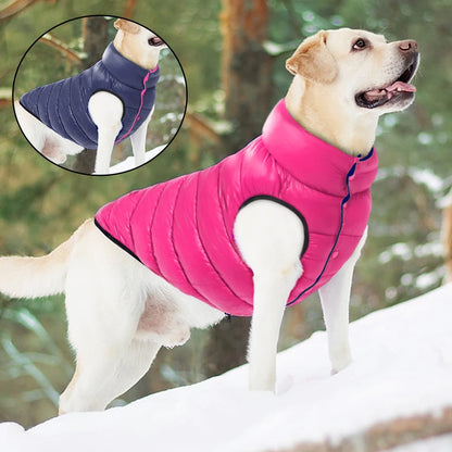 Light blue dog jacket – waterproof and warm winter coat