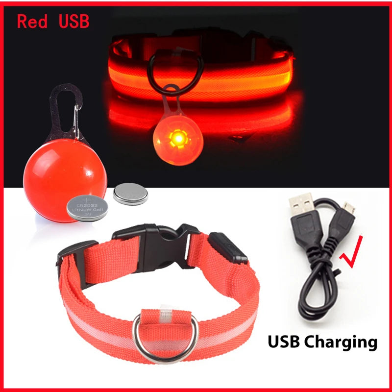 USB Rechargeable LED Dog Collar – Night Safety