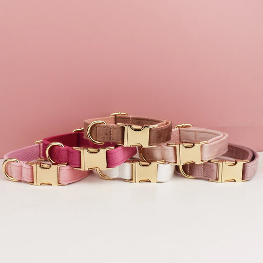 Custom engraved velvet dog collar and leash set
