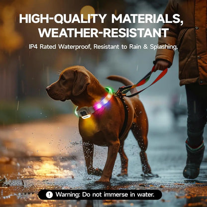 Rechargeable LED Dog Collar - Waterproof Light-Up Safety Necklace for Night Walks, 6 Flashing Modes, USB Glow Pet Collar