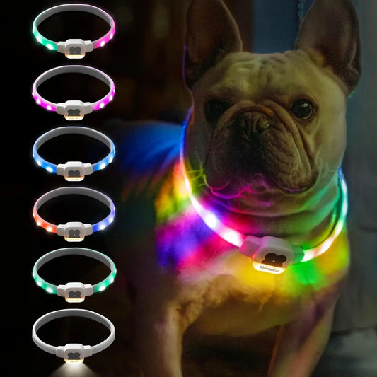 Rechargeable LED Dog Collar - Waterproof Light-Up Safety Necklace for Night Walks, 6 Flashing Modes, USB Glow Pet Collar