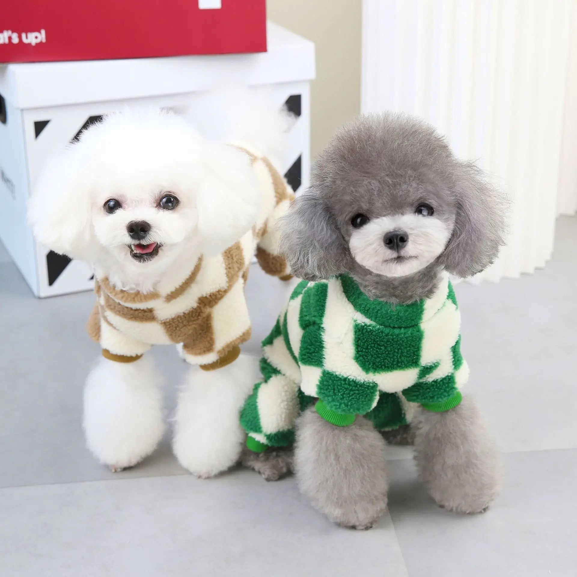 Two dogs wearing matching plaid fleece jumpsuits