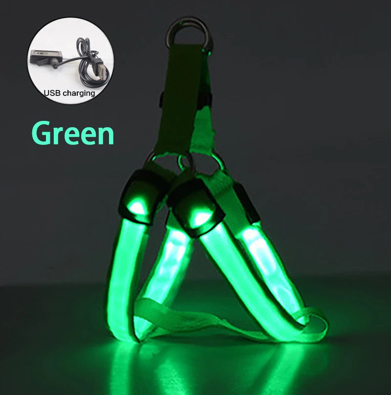 LED Dog Harness – Adjustable & USB Rechargeable