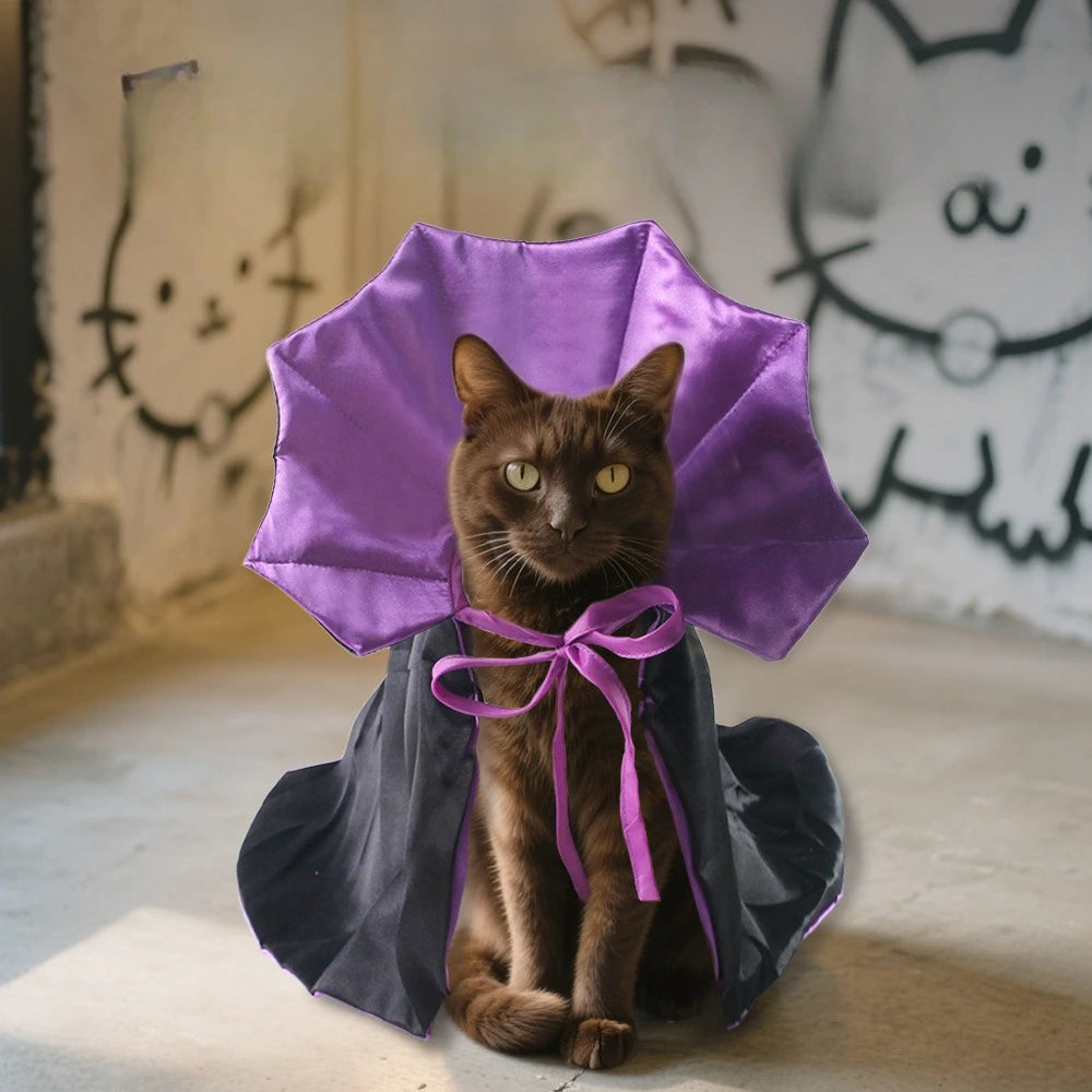 Funny Halloween costume for cats
