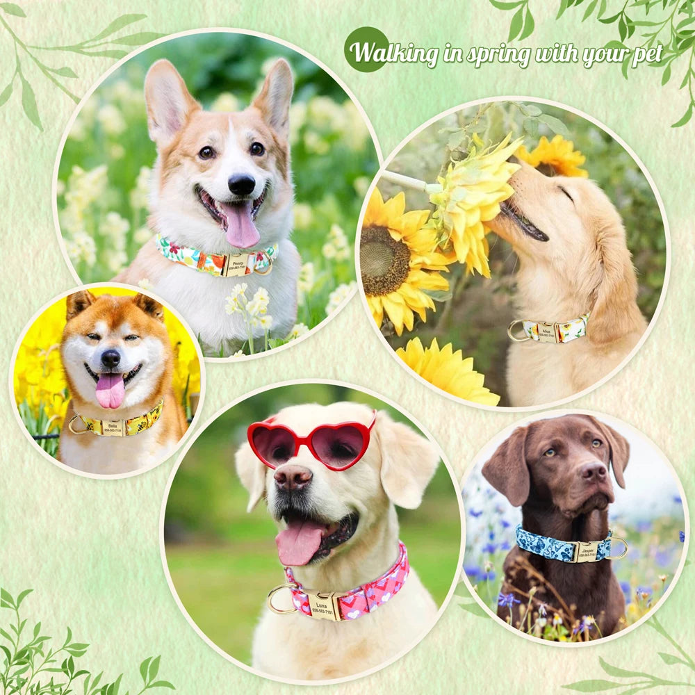 Dogs wearing personalized engraved collars with stylish printed nylon designs.
