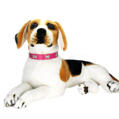 Durable Pet Dog Collars for Small & Large Dog