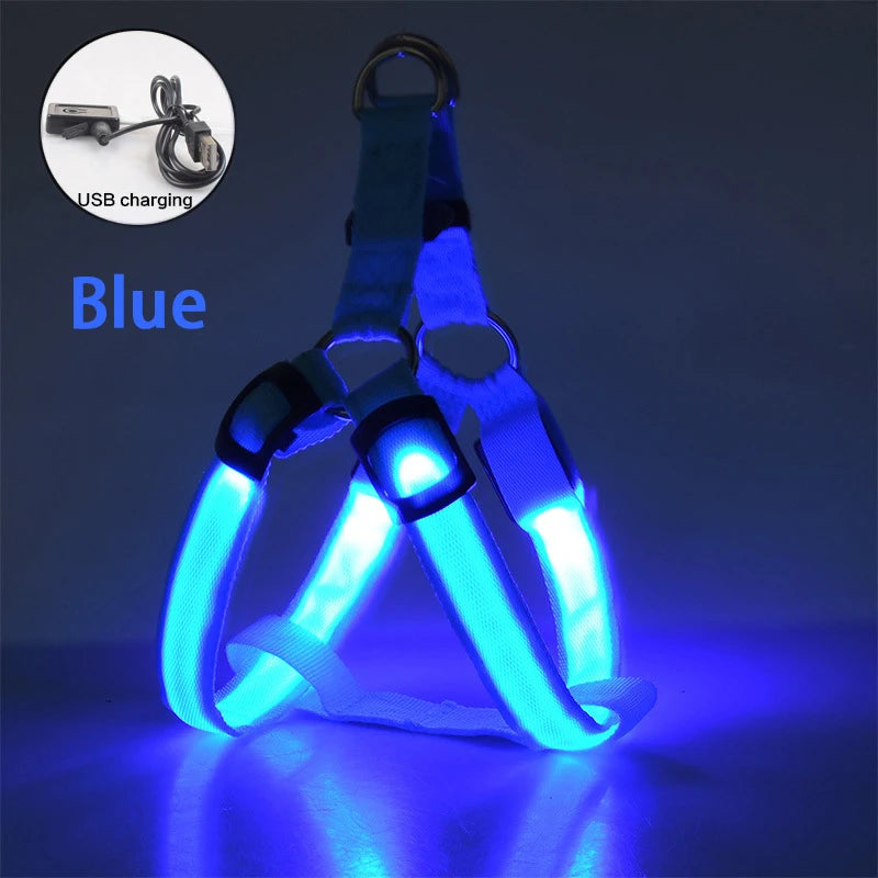 LED Dog Harness – Adjustable & USB Rechargeable