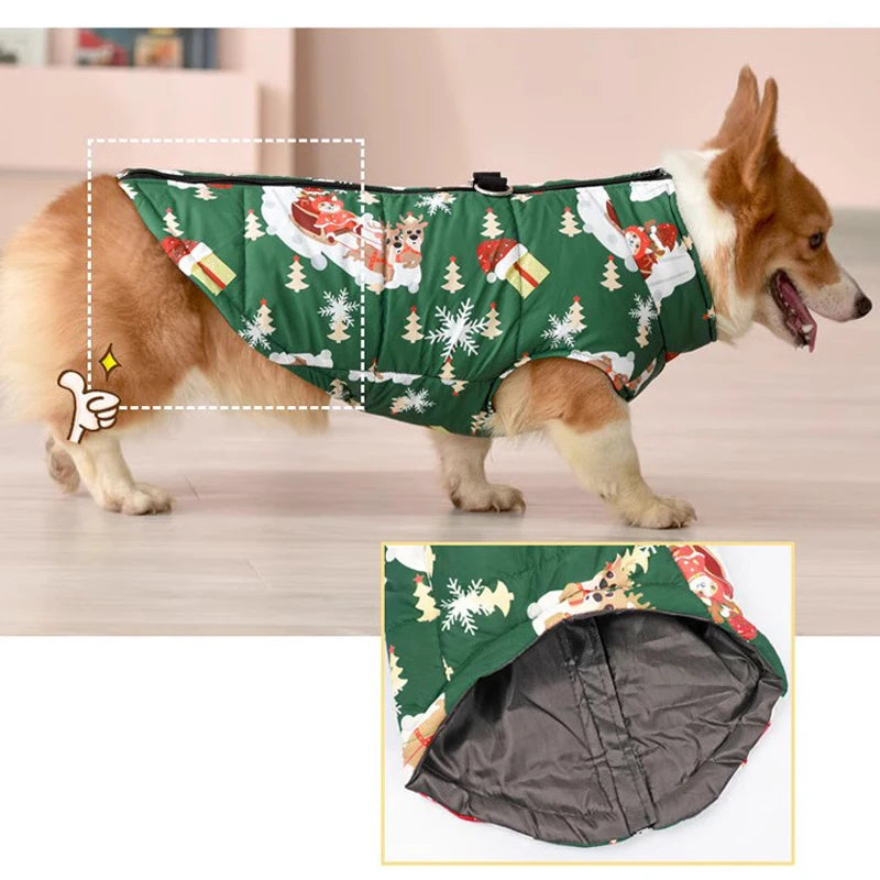 Pet wearing soft cotton waterproof jacket for cold weather