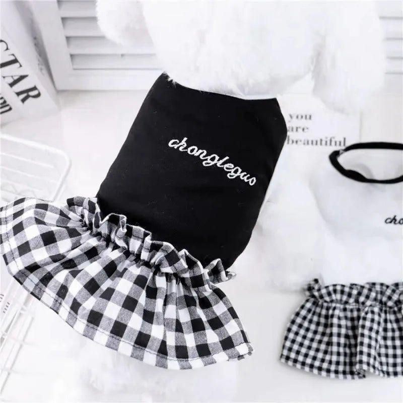 Small white dog in plaid summer dress – side view