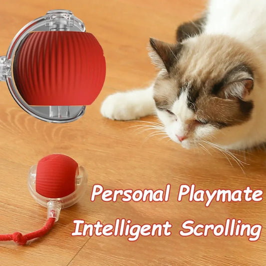 Rechargeable Smart Cat Ball Toy – Interactive Automatic Rolling Ball with Faux Tail, USB Type-C Charging, Anti-Obstacle Design for Dogs & Cats