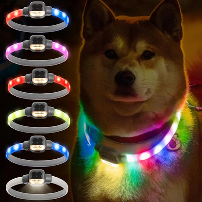 Rechargeable LED Dog Collar - Waterproof Light-Up Safety Necklace for Night Walks, 6 Flashing Modes, USB Glow Pet Collar