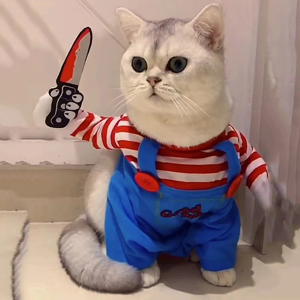 Cat wearing funny Halloween cosplay costume with red and blue outfit