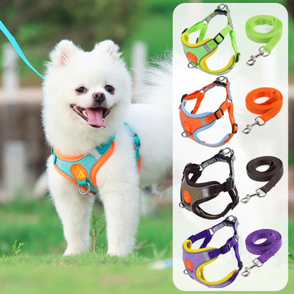 White dog wearing orange adjustable harness with leash