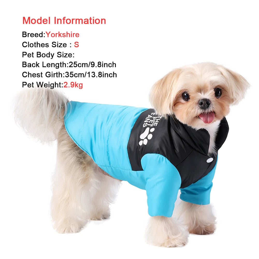 French Bulldog in cozy waterproof winter dog jacket