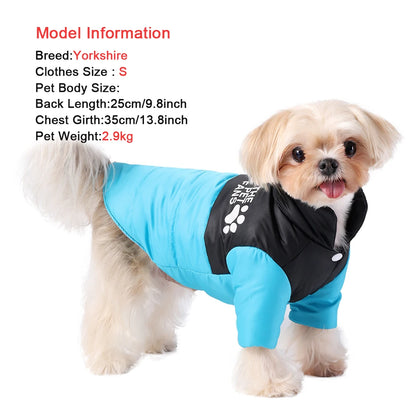 French Bulldog in cozy waterproof winter dog jacket